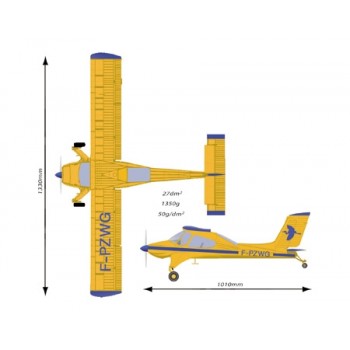 WILGA 2000 1330mm ARF